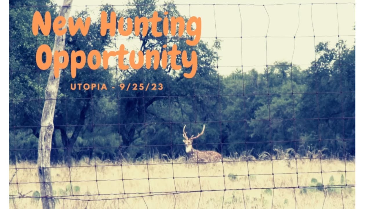 Setting up new hunting land