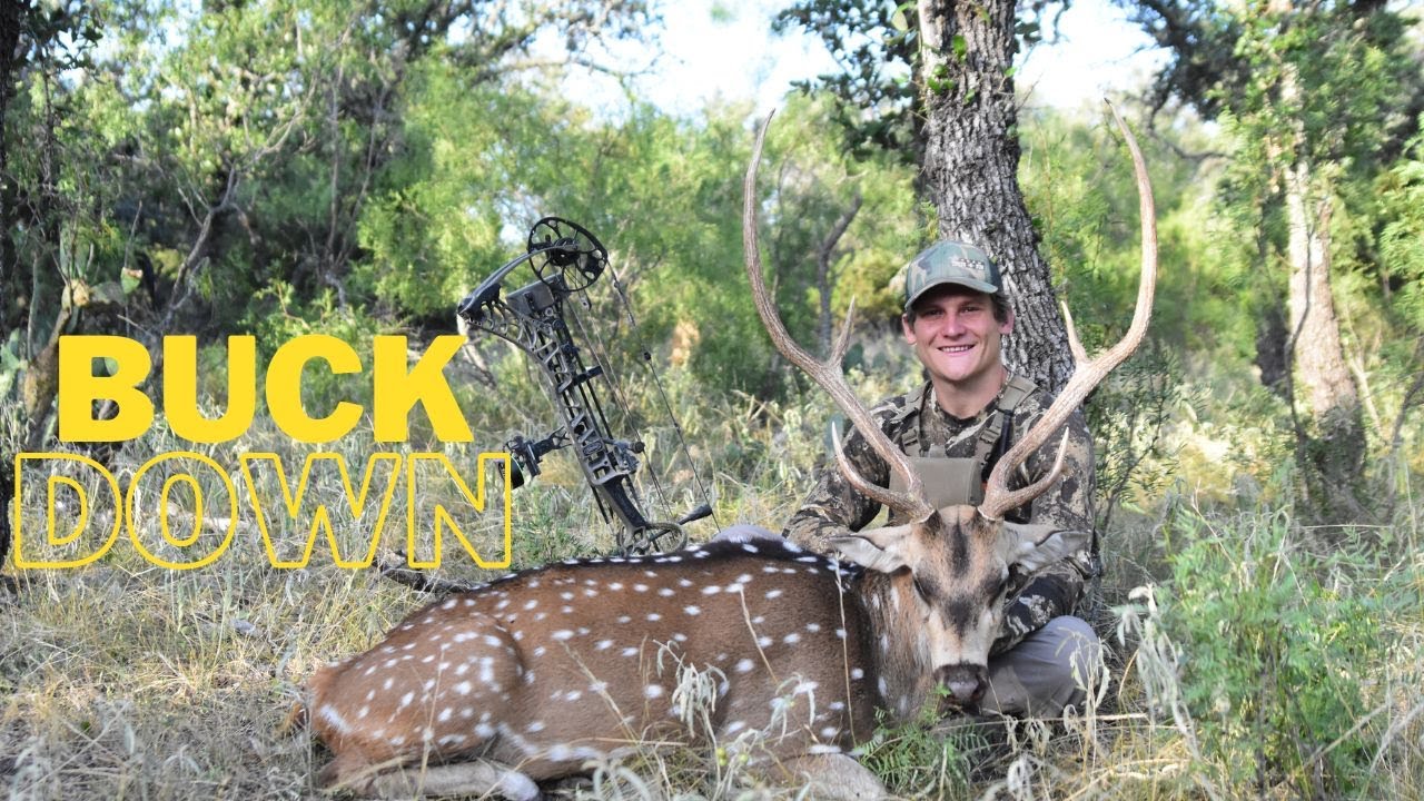 Spot-and-stalk axis bowhunt